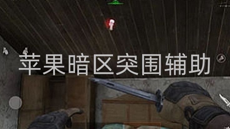 移动应用开发中，苹果暗区突围辅助应用的挑战与演变？