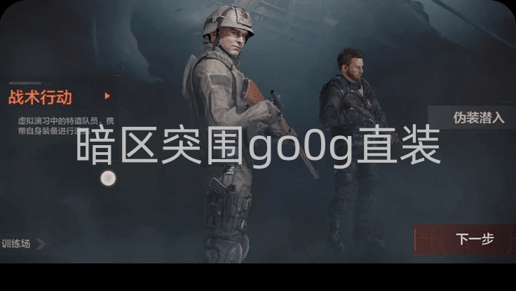 暗区突围go0g直装：便捷背后，隐藏着怎样的风险与问题？